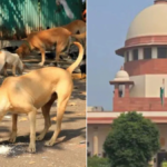 'कुत्ता कब काट दे, उसका दिमाग नही पढ़