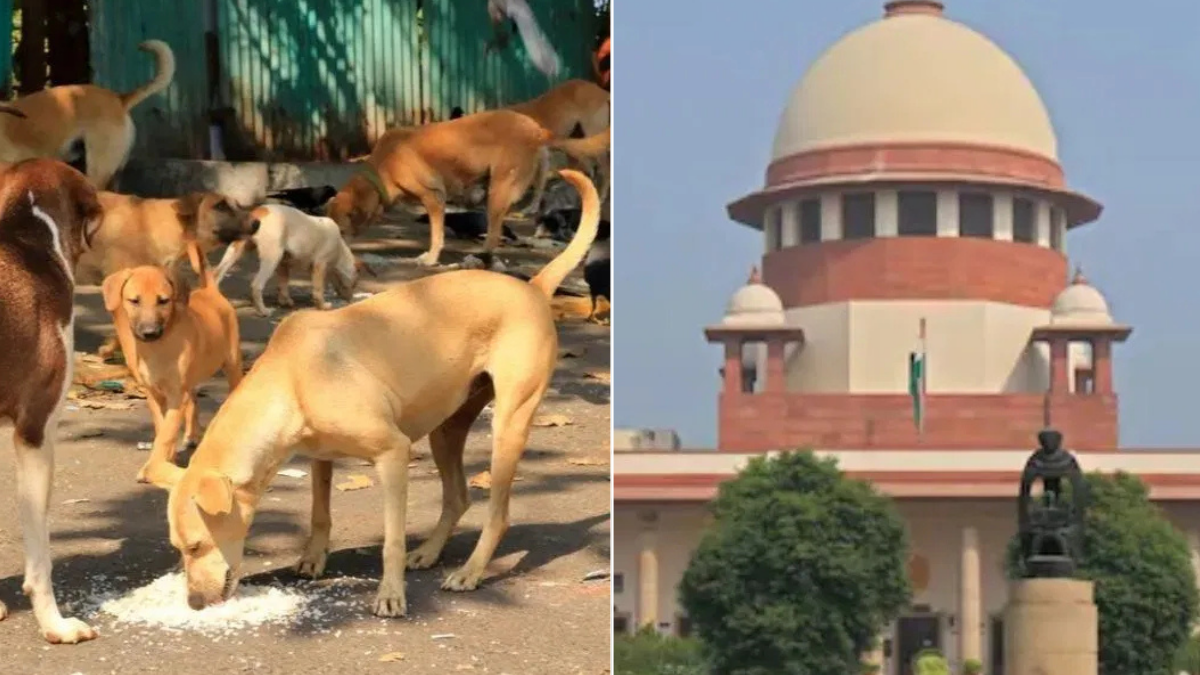 'कुत्ता कब काट दे, उसका दिमाग नही पढ़